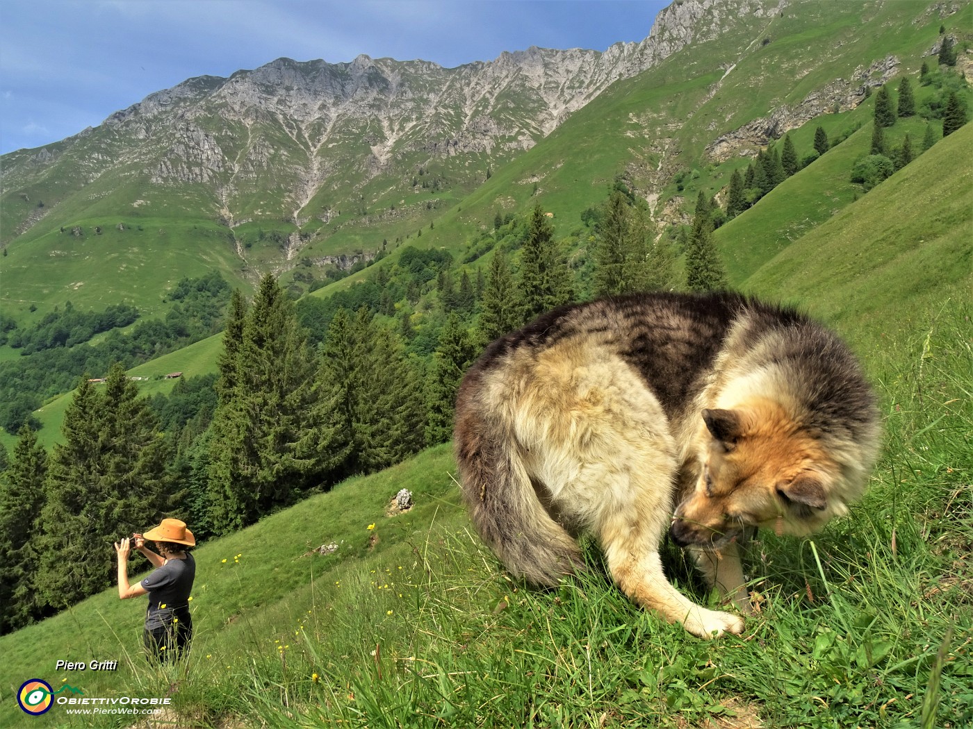 25 Usciti dal bosco in decisa salita su pratoni carichi d'erba.JPG